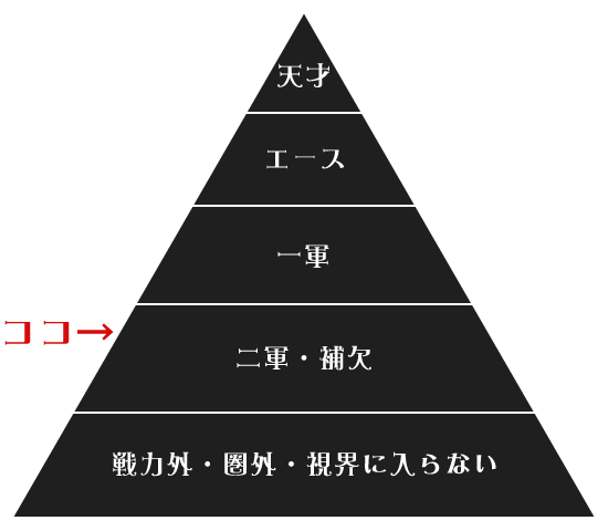 モテ占い モテ度ランク20位中で14位