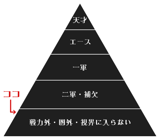 モテ占い モテ度ランク20位中で17位